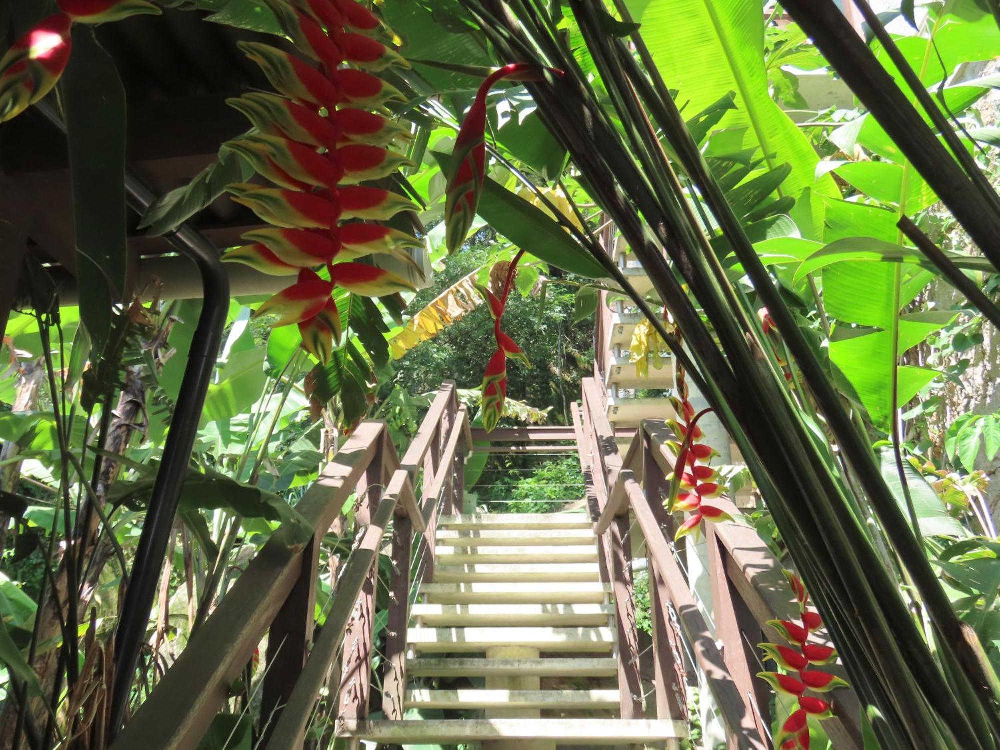 Patio Floriparadise Флорианополис Экстерьер фото