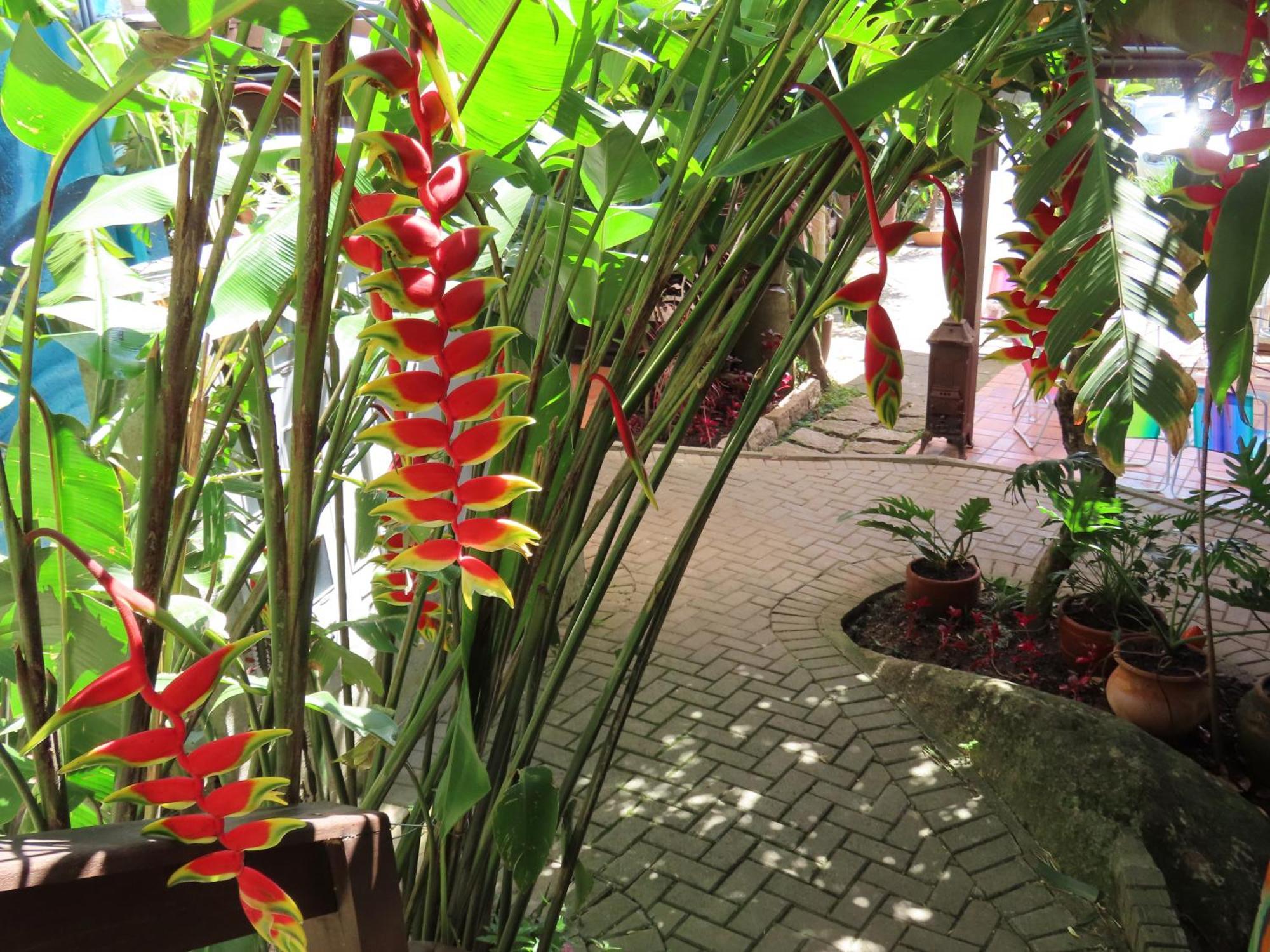 Patio Floriparadise Флорианополис Экстерьер фото